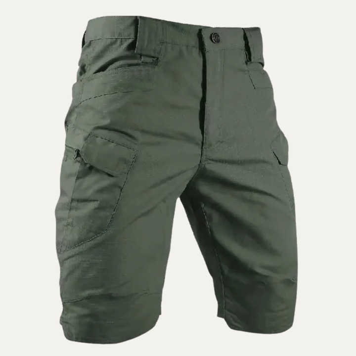 Springdale Shorts